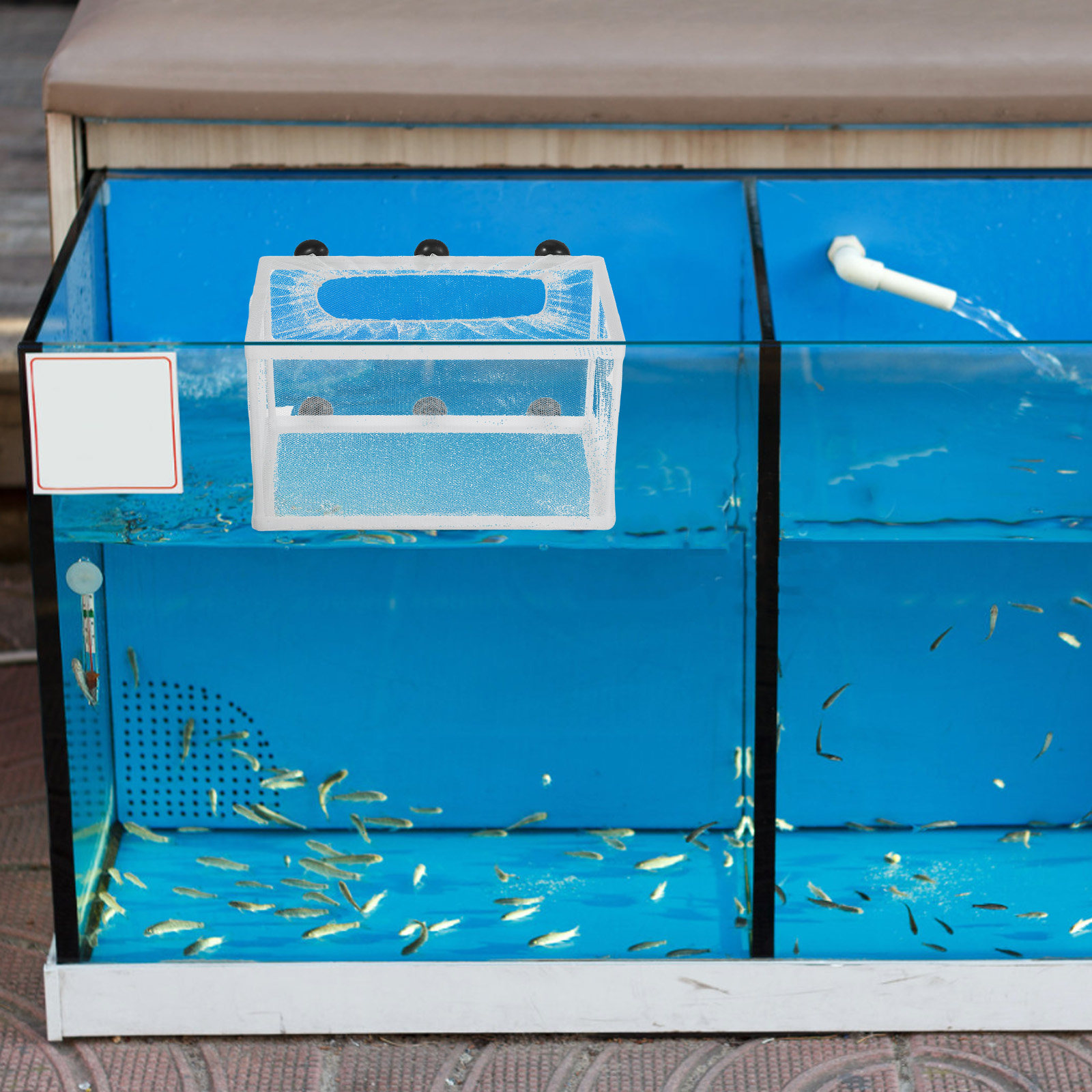 Aquarium Fish Net Big Size - 수족관 어망 부화 상자 대형 어종