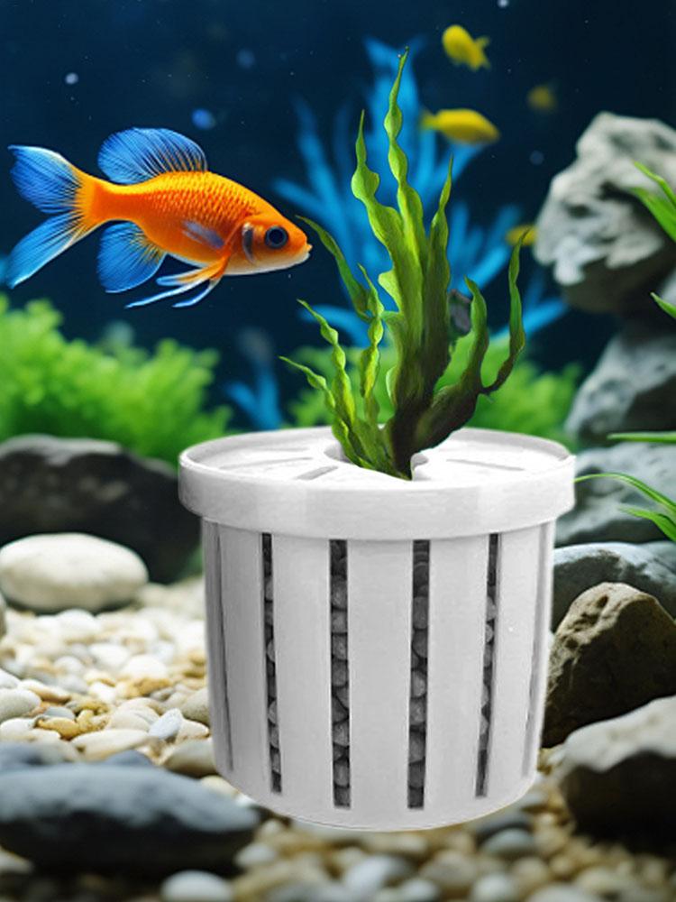 안정적인 어항 식물컵 4개, 수족관 식물 홀더 바구니, - Aquarium Fish Restaurant 리뷰 및 가격