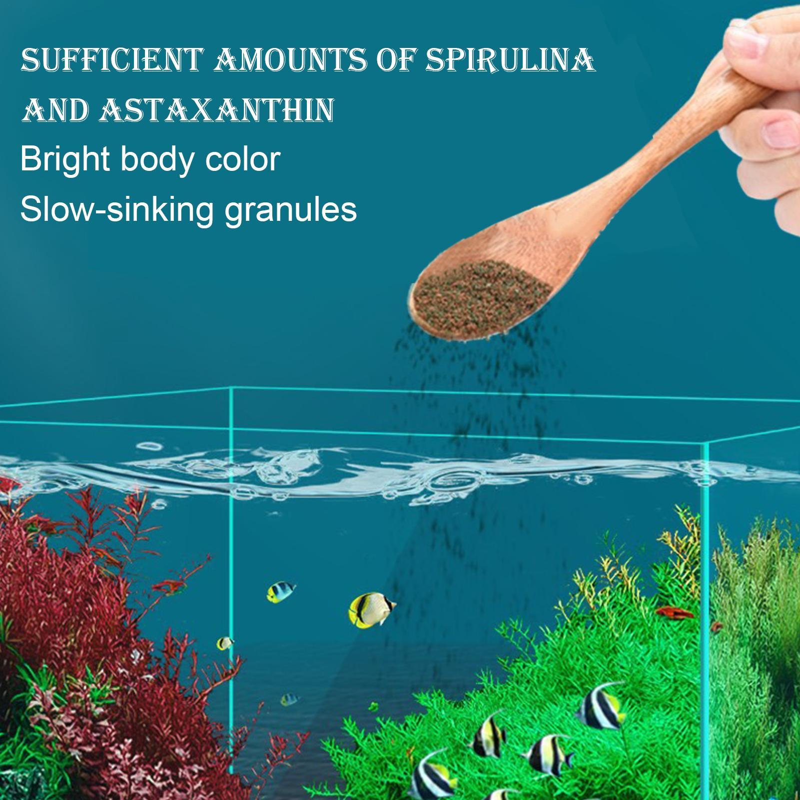 베타 사료 관상어 먹이 수족관 물고기 사료 사육가 취미 - Aquarium Fish Restaurant 리뷰 및 가격