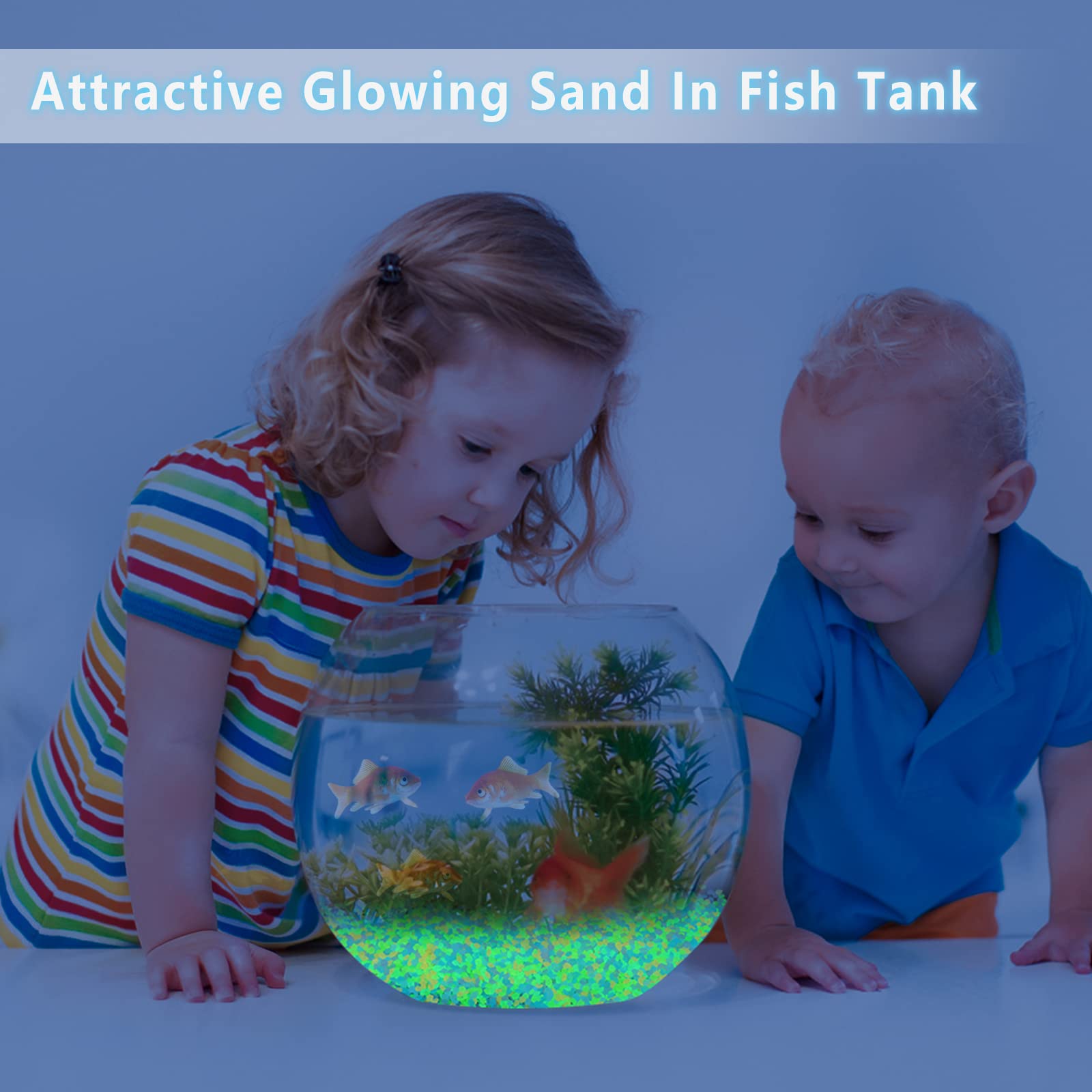 1000개 발광 모래 어둠 속에서 빛나는 자갈 돌 가정 - Aquarium Fish Glow In The Dark 리뷰 및 가격