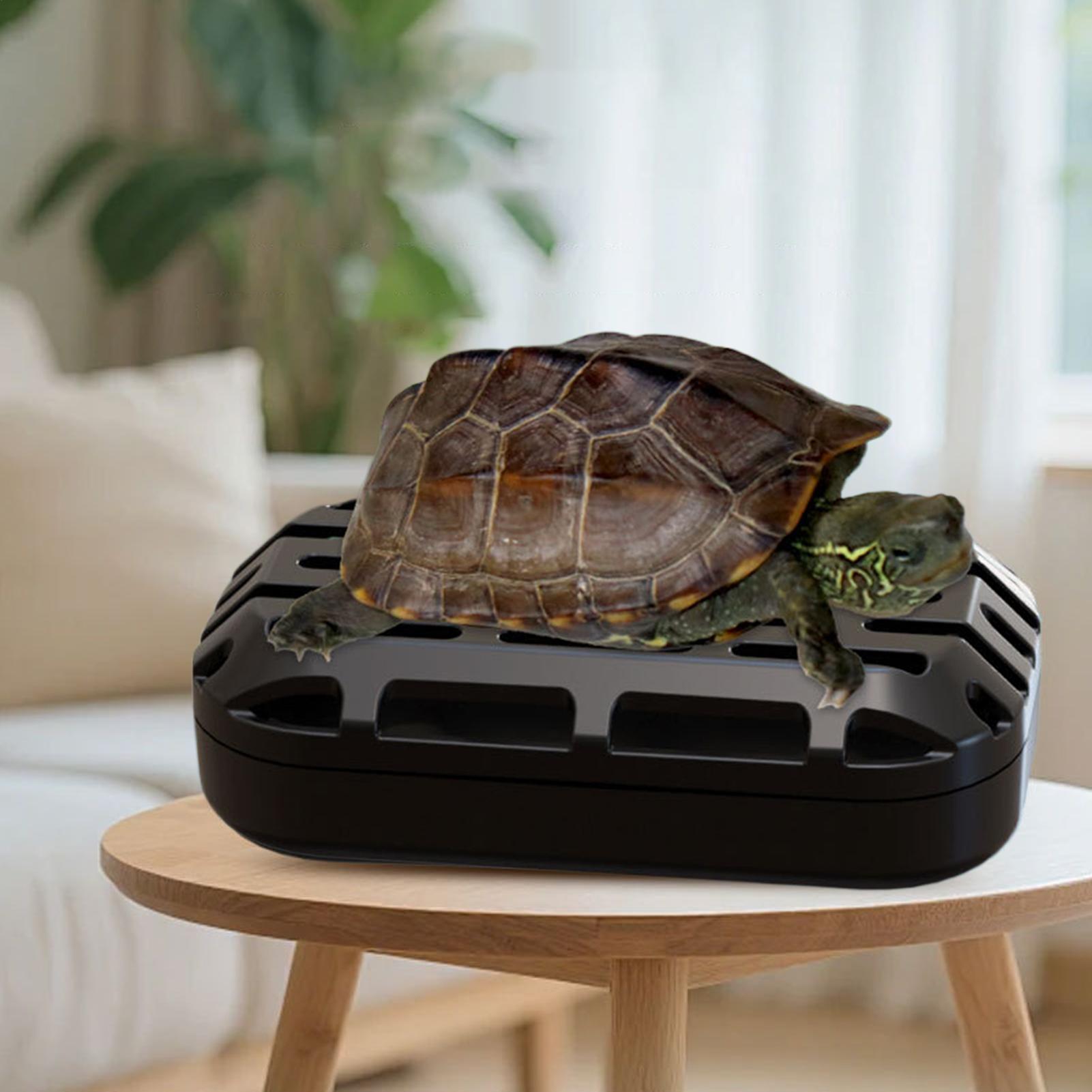 거북이 똥받이 흡착컵 파충류 애완동물 용품 수족관 거북 - Aquarium Fish Restaurant 리뷰 및 가격