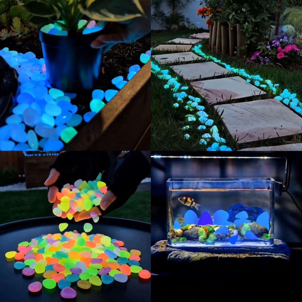 200/1000pcs 빛나는 돌 어둠 속에서 빛나는 자 - Aquarium Fish Glow In The Dark 리뷰 및 가격