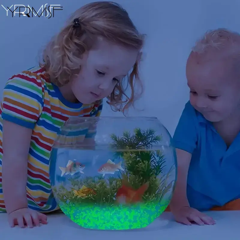 1000pcs 어두운 자갈 돌에 3-5mm 빛나는 모래 - Aquarium Fish Glow In The Dark 리뷰 및 가격