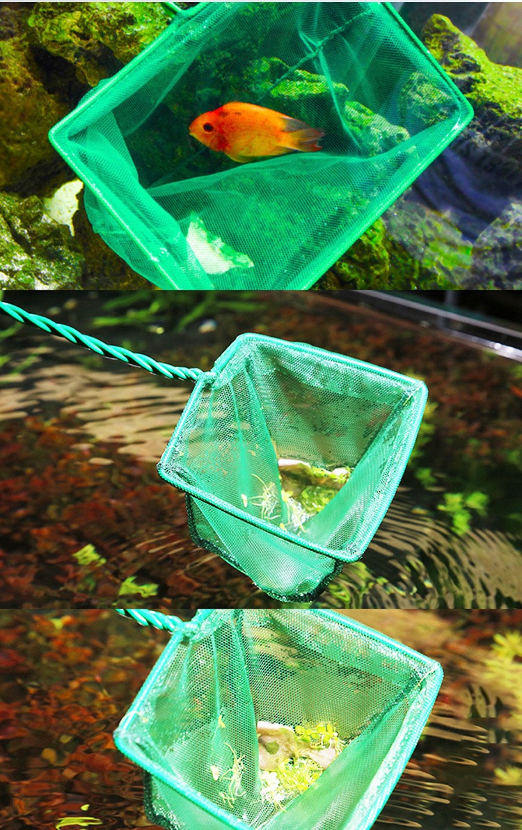 섬세한 디자인의 휴대용 대형 낚시 그물 새우 잡이기구, - Aquarium Fish Net Big Size 리뷰 및 가격