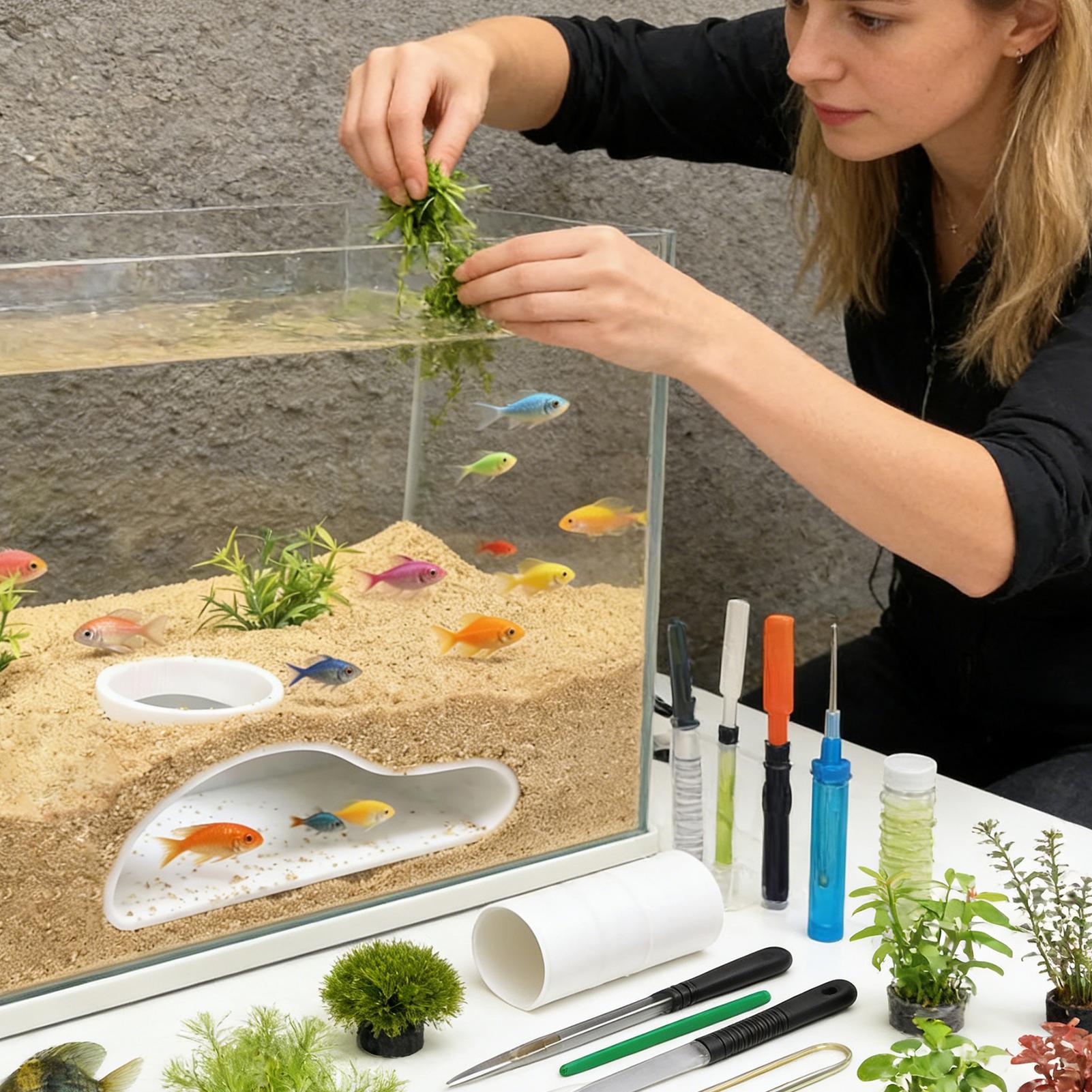 수족관 지하 터널 동굴 어항 장식 천연 새우 동굴 로치 - Aquarium Fish Restaurant 리뷰 및 가격