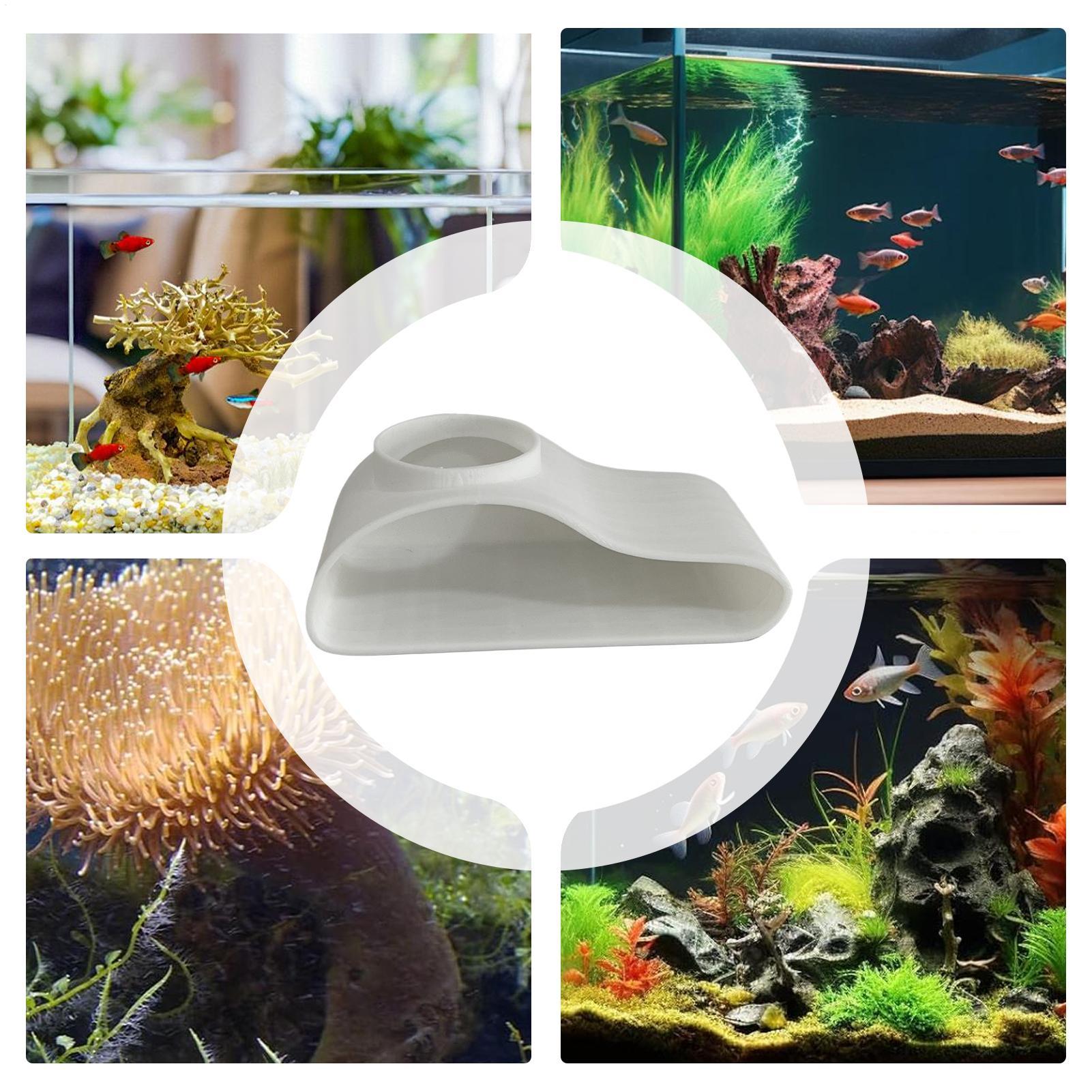 수족관 지하 터널 동굴 어항 장식 천연 새우 동굴 로치 - Aquarium Fish Restaurant 리뷰 및 가격
