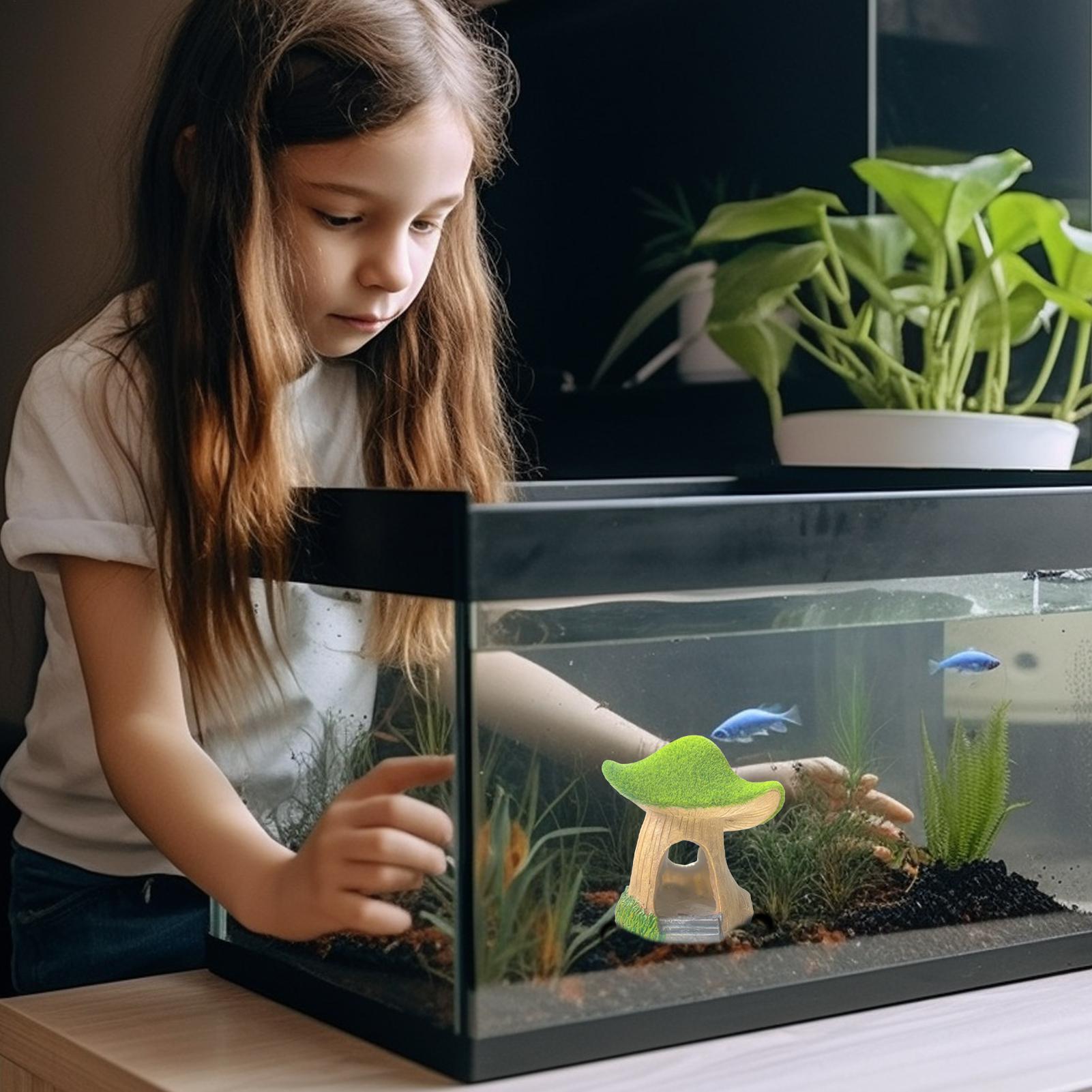 수족관 조각상 수중 조각물 어항 버섯 장식 거실 침실  - Aquarium Fish Restaurant 리뷰 및 가격