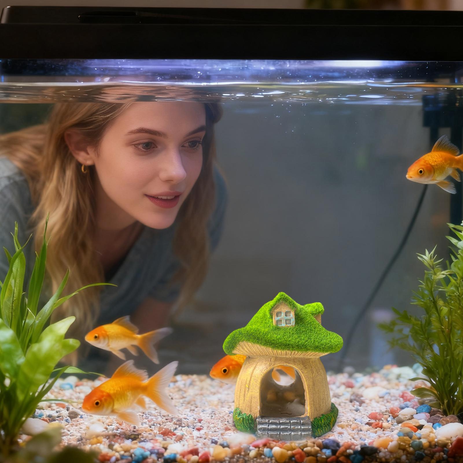 수족관 조각상 수중 조각물 어항 버섯 장식 거실 침실  - Aquarium Fish Restaurant 리뷰 및 가격