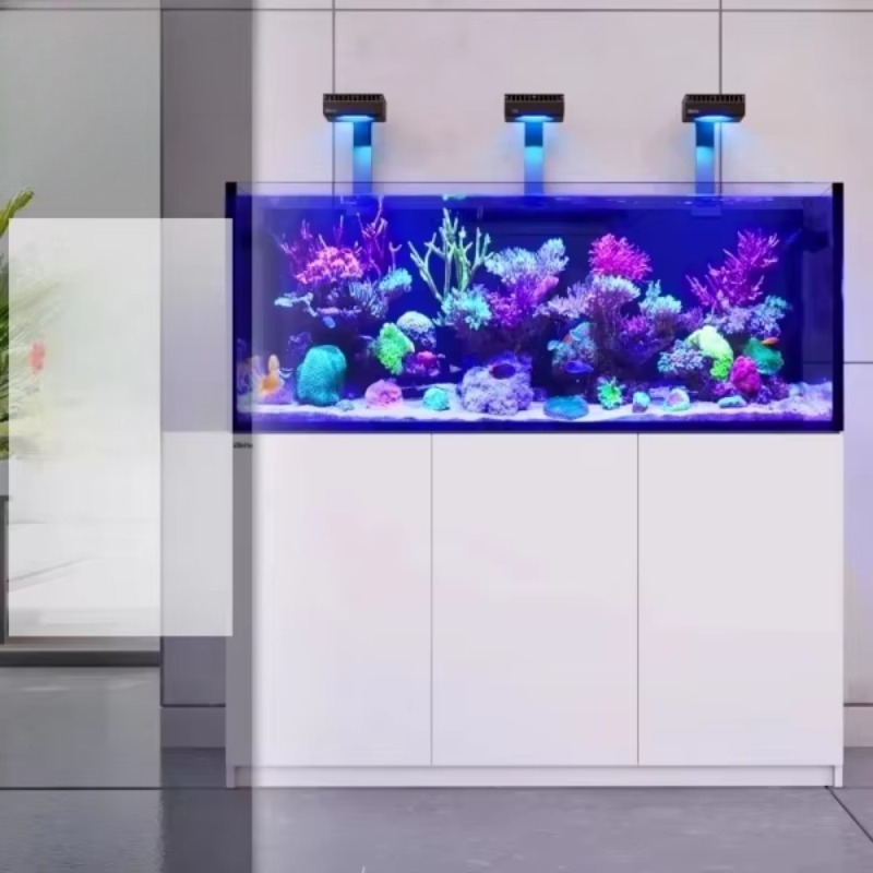 현대적인 고급 유리 냉장 수족관 (어류 및 암초 식당용 - Aquarium Fish Restaurant 리뷰 및 가격