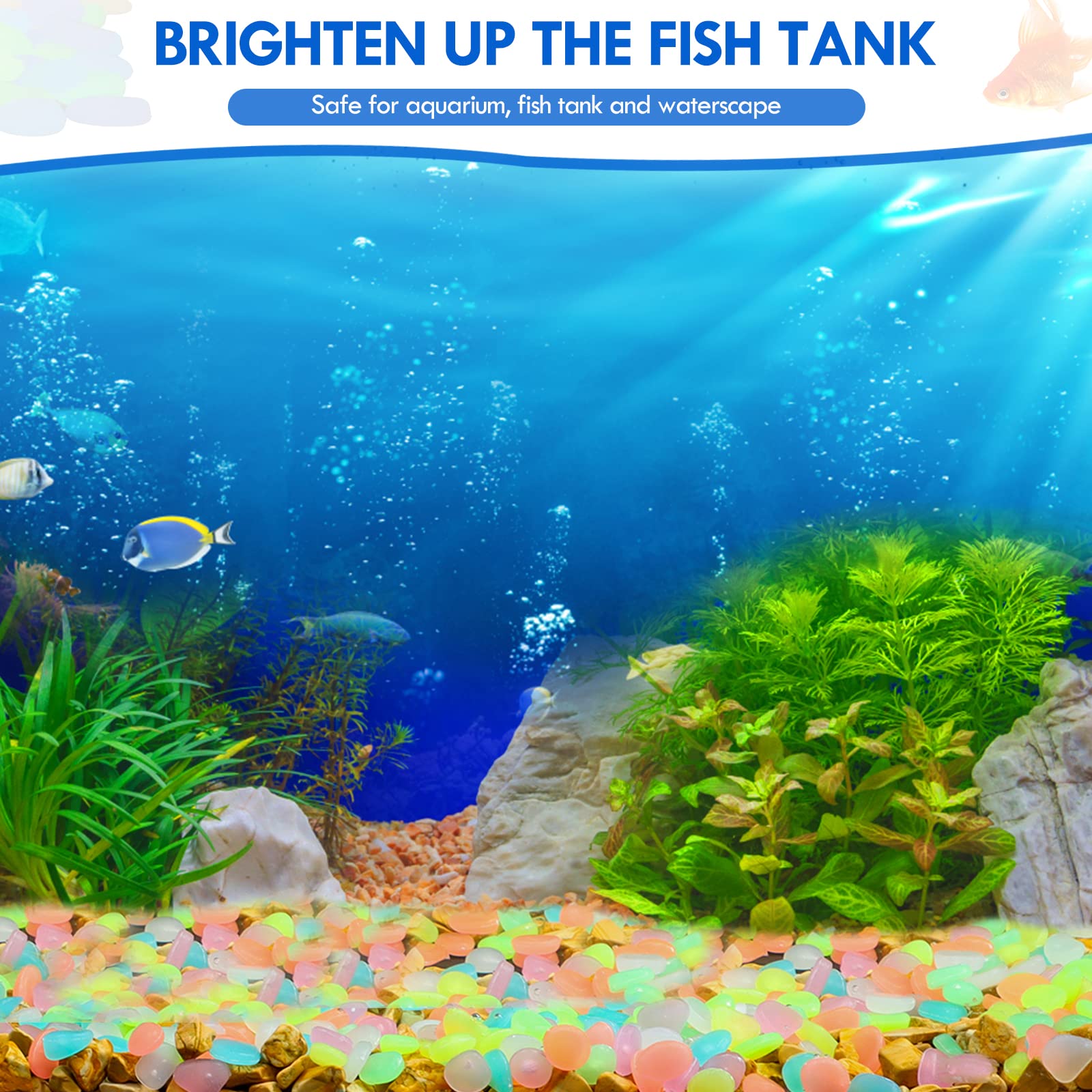 100Pcs 보도 정원 테라스 잔디 정원 파티오 물고기 - Aquarium Fish Glow In The Dark 리뷰 및 가격
