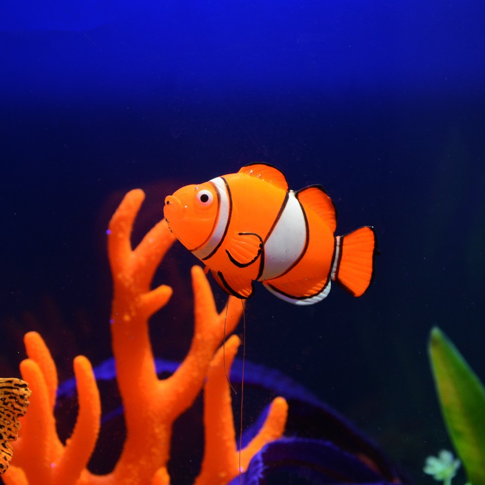 야광 발광 실리콘 물고기 어항 장식물 광대어 수조 해양 - Aquarium Fish Glow In The Dark 리뷰 및 가격